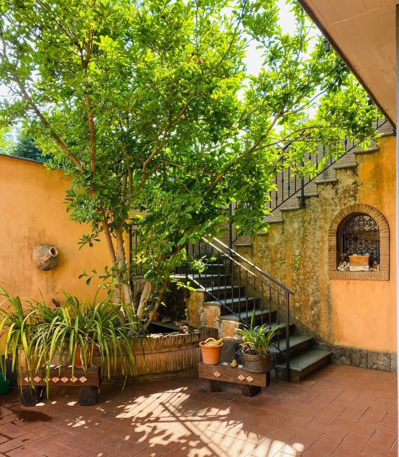 Villa Mariposa Nettuno Exteriör bild