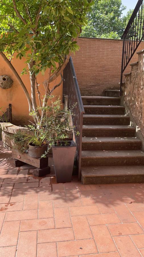 Villa Mariposa Nettuno Exteriör bild